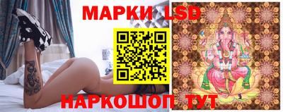 шишки Шелехов