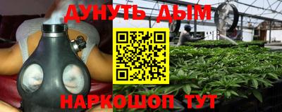 jwh Шахты