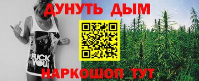 шишки Шелехов