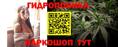 ECSTASY Чебоксары
