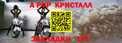 шишки Шелехов