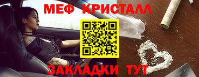 шишки Шелехов