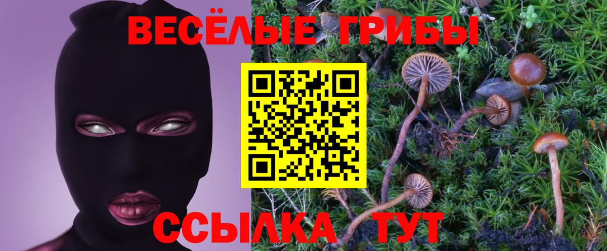 Галлюциногенные грибы Psilocybine cubensis  Галлюциногенные грибы мицелий  Мытищи  купить наркотики цена  Вход с VPN 
